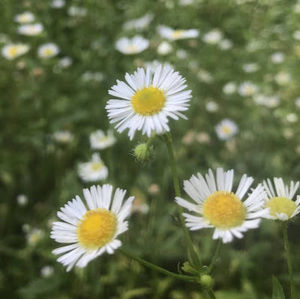 Meet your Posher, Jen